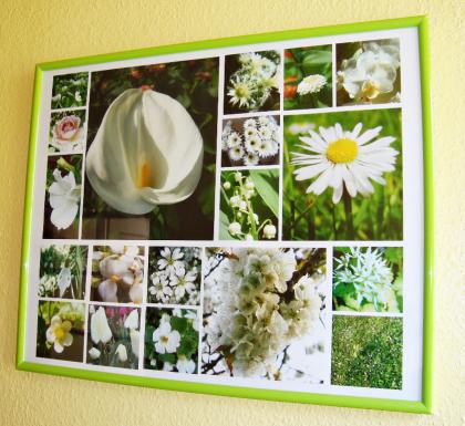 IHR INDIVIDUELLES FOTOBUCH ERSTELLEN UND GESTALTEN - DAS MACH ICH FÜR SIE!