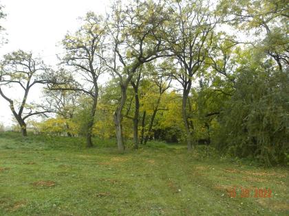  In Ungarn Kiskunmajsa 120 m2 Bauernhof mit Nebengebaude und 7,6 ha Fláche ist z