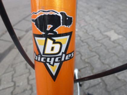 (19) 7 Gang Rücktrittsbremse BOOMER ALU tiefer Einstieg 26 Zoll mit Nabendynamo