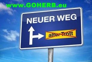 MÖCHTEST DU MIT DEINEM HOBBY FITNESS und WELLNESS GELD VERDIENEN? 