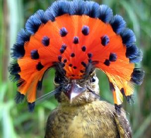 Peru und Südamerika entdecken, individuell schon ab 1 Person - Bis Ende März 5% 