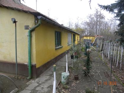  In Ungarn am Csikéria ein 130 m2 Bauernhaus mit 4300 m2 Grundstück ist zu verka