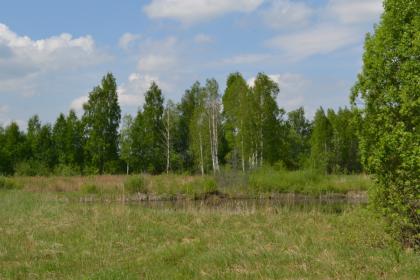 Grundverkauf in Litauen
