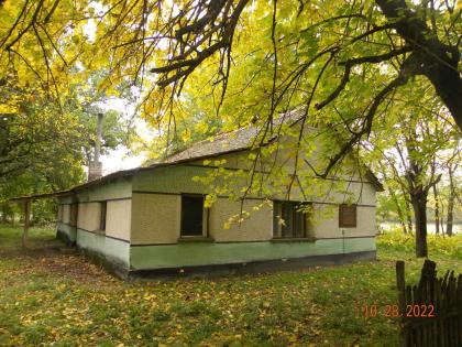  In Ungarn Kiskunmajsa 120 m2 Bauernhof mit Nebengebaude und 7,6 ha Fláche ist z