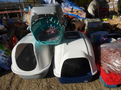 Hundetransportboxen als Spenden gesucht!
