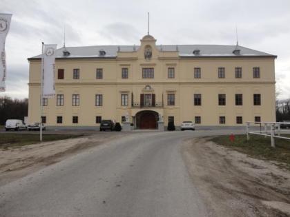 Kunsträume, Büros im Schloss Hubertendorf zu vermieten