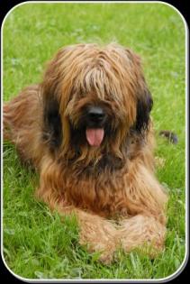 Gratis Grußkartenversand, E-Cards, Schreiben Sie doch mal wieder...