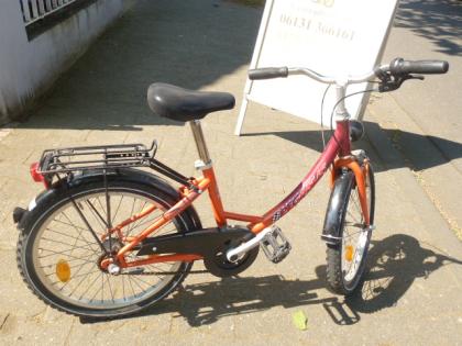 (161) 3 Gang Rücktrittsbremse 20 Zoll tiefer Einstieg PEGASUS