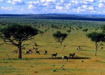 Investor / stiller Partner für Immobilienprojekt im südlichen Afrika gesucht