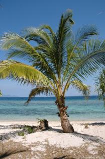 Angelreisen nach Kuba. Cuba Fishing Camp mit Bed&Boat. Big Game Fischen****