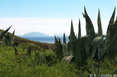 Madeira, DZ/ÜF, Flug ab 289 €