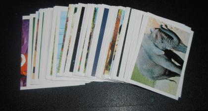 Unsere Erde, Unsere Wunderwelt & Unser Deutschland