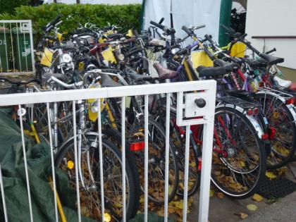 (170) 3 Gang Rücktrittsbremse 28 Zoll Rh 54 FALKE tiefer Einstieg