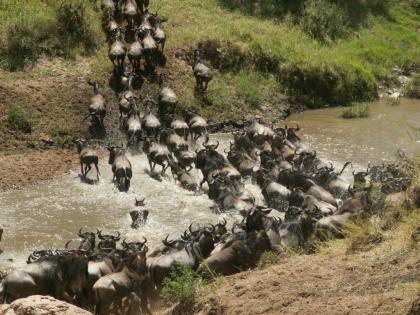 Kenia – Safari / 6 Tage atemberaubende Erlebnisse!!!