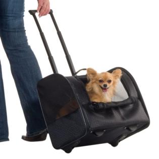 Flying Petbox- transport box rental!