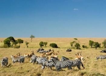 Investor / stiller Partner für Immobilienprojekt im südlichen Afrika gesucht