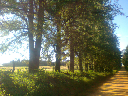 3 ha Grundstück Kolonie Independencia Paraguay