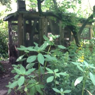 Biete Frettchen, geb. Anfang Mai d.J., Rüden und Fähen.