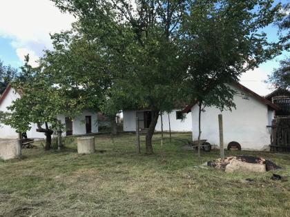  In Ungarn am Pusztaszer ist ein gepflegtes,ruhiges Bauernhaus mit 5755 m2 Grund
