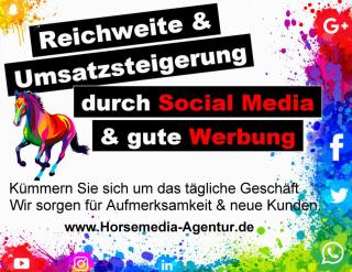 Social Media & Werbe- management für Pferdebetriebe