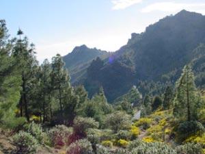 Private Ferienhäuser auf den Kanaren - Gran Canaria Finca la Hoya