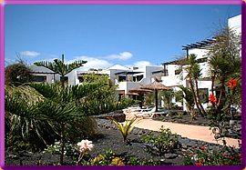 Lanzarote - Apt. Tropica