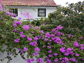 Finca Kanaren - Urlaub Casitas El Sitio auf der Insel El Hierro 