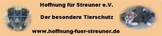 Dringend Pflegestellen gesucht !!