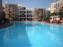 Ferienhaus und Ferienwohnung auf Teneriffa - Appartment Los Balandros