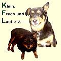 Hundeschau für Mischlings- und Rassehunde