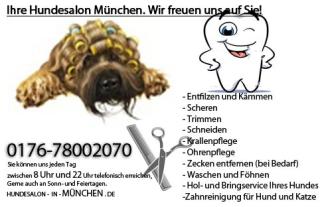 Hundefriseur, Hundesalon, Hundepflege, Hundecoiffeur - München