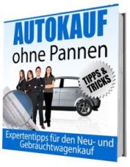 Autokauf ohne Pannen  eBook