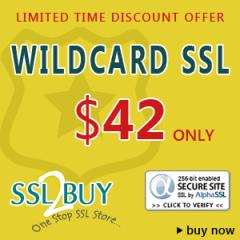 Suche nach günstigen Wildcard SSL! SSL2BUY bietet AlphaSSL Wildcard @ 42 USD