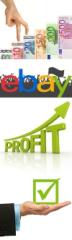 EBAY PROFIT NEU UND EINZIGARTIG -