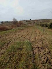 Landwirtschaftliche Fläche von 1157 m2 in Crno, Zadar