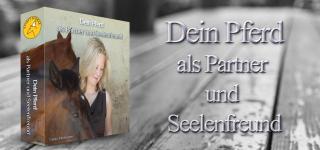 Dein Pferd als Partner und Seelenfreund