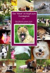 Geschenk unter 20 Euro - Passt ein Hund in unseren Alltag? 