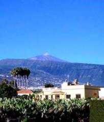 Urlaub auf der Terneriffa Finca Fugaz