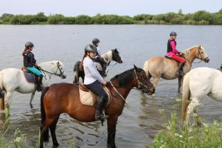 Kinderreitferien & Reiten für Erwachsene