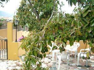 Casa Platano in Puerto de la Cruz im Norden von Teneriffa