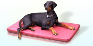 Hundematten für große Hunde