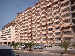 Flamingo in Palm Mar im Süden von Teneriffa