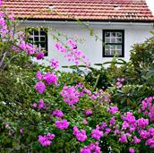 Finca el Sitio bei Frontera auf El Hierro