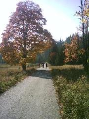 Schön gelegene FEWO im Bayerischen Wald