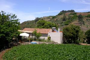 Finca Pelibuey auf Gran Canaria