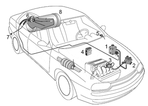 Autogas-guenstig.com