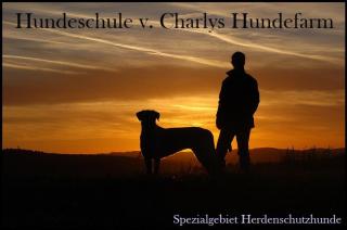 Hundeschule v. Charlys Hundefarm