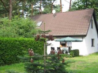 Ferienhaus im Darßwald