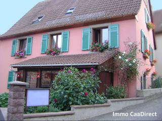 2 Gebäude:1 Haus mit 2 Gästezimmer und 1 Nebengebäude mit einer Ferienwohnung, i