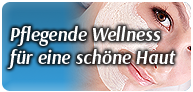 Duschgel-Sensitiv/Wellness aus der Waschnuss & Stevia 